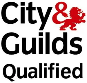 Fully qualified carpenter Guildford
